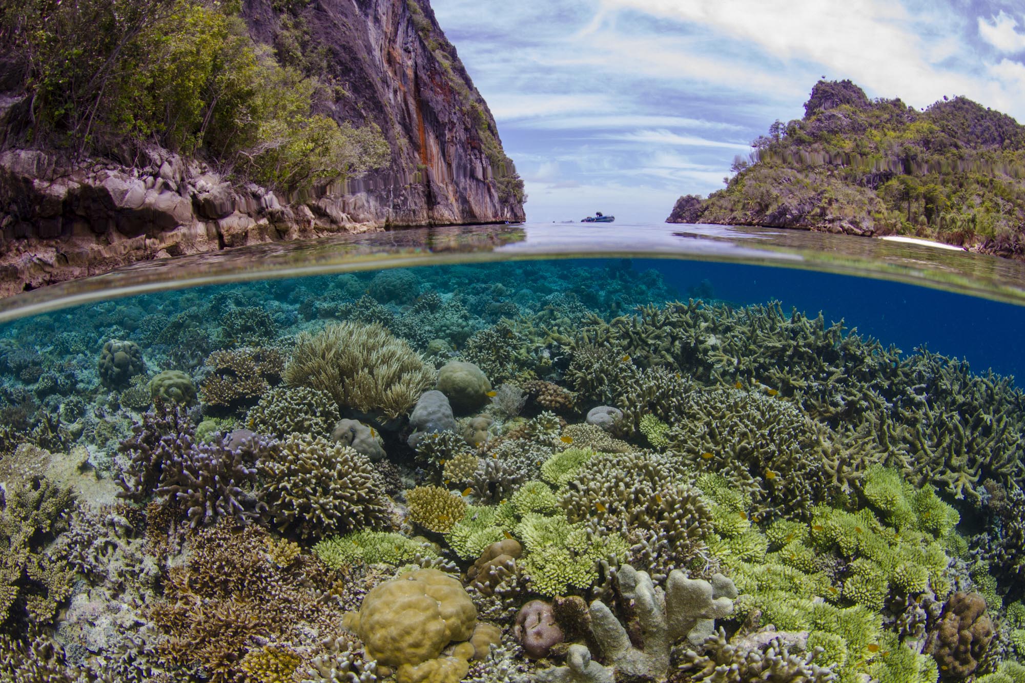 Snorkeling Coral Triangle